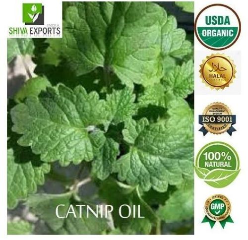 Liquid Catnip Oil