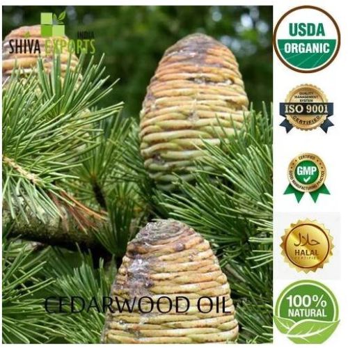 Liquid Cedarwood Oil, Packaging Type : Aluminium Bottle