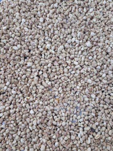 Common Corn COB Grits Dried, Weight (Kg) : 20-30kg, 30-50kg