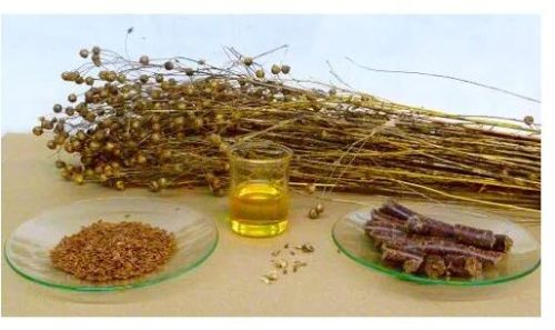 Linseed Oil, Packaging Type : Plastic Container