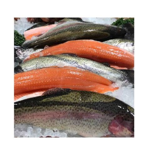 Frozen Smoked Rainbow Trout, Packaging Type : Light Red for Hotel