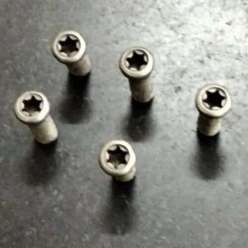 Stainless Steel Insert Torx Screw