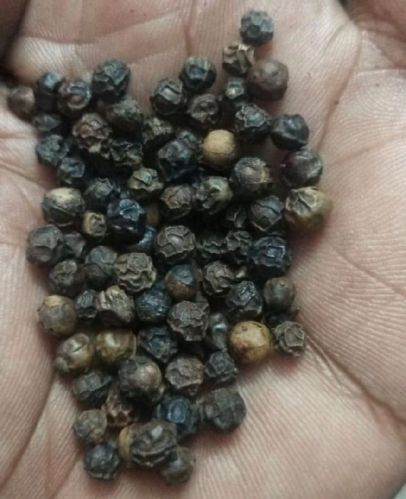 Natural Black Pepper Seeds, For Cooking, Certification : FSSAI Certified