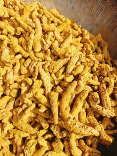 Turmeric Finger, Certification : FSSAI Certified