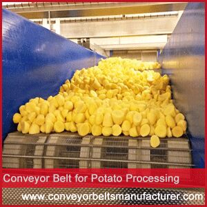 Conveyor Belt For Potato Processing