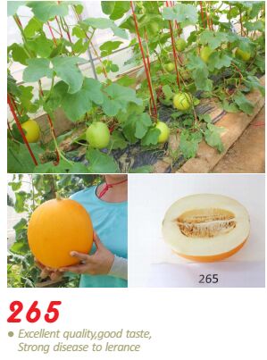 Melon, Usage : Sweet