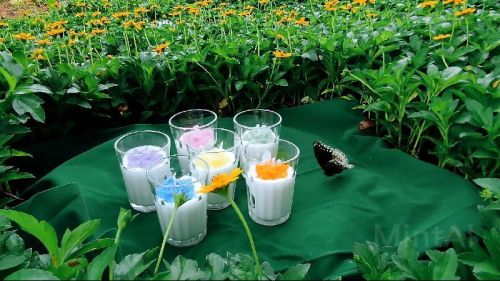 Freedom Crafts Round Chai Glass Candles, For Fine Finished, Attractive Pattern, Pattern : Plain