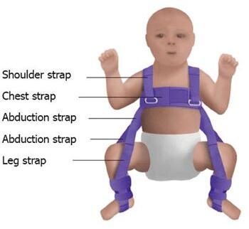 PP PAVLIK HARNESS