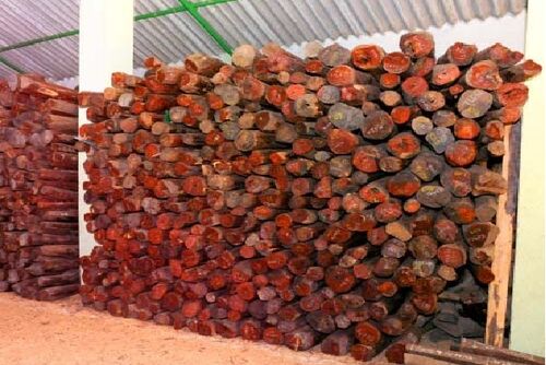 Red Sandal Wood Logs