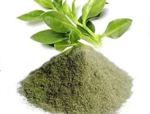 Andrographis Paniculata Extract, For Medicinal, Style : Natural