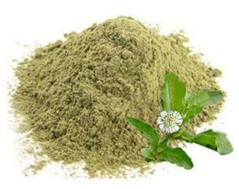 Eclipta Alba Extract, For Medicinal, Style : Natural
