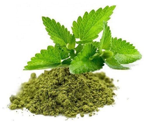 Ocimum Sanctum Leaf Extract, For Medicinal, Style : Natural