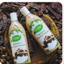 Liquid Shikakai Reetha Shampoo, Packaging Size : 200 Ml