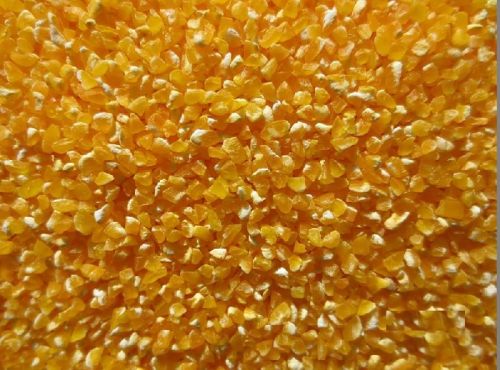 Maize Grits Poultry Feed