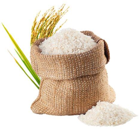 Parboiled rice, Variety : Medium Grain