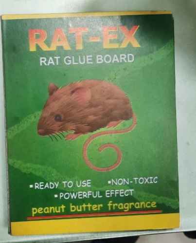 Rat-EX Coated Plain Rat Glue Board, Size : Standard