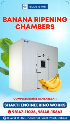 Blue Star Banana Ripening Chambers, Size : Customised