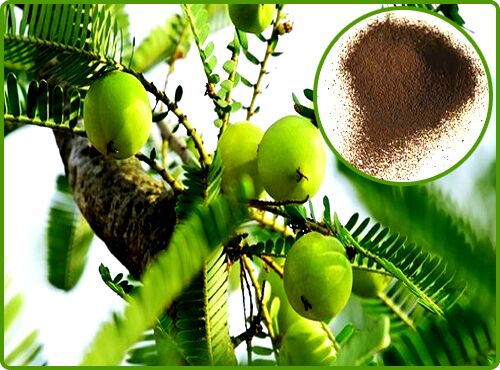 Amla Extract