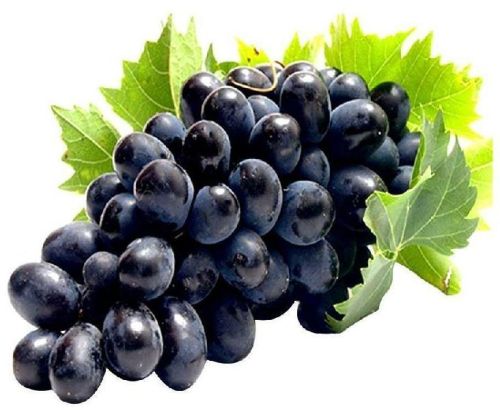 Black Grapes, Packaging Type : Plastic Bag