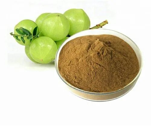 Amla Extract Powder, Packaging Type : Pouch, Bag, Packet