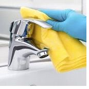 Floor Cleaner, Shelf Life : 1year