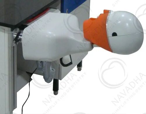 Navadha Plastic Dental Phantomhead, Model Number : NA225