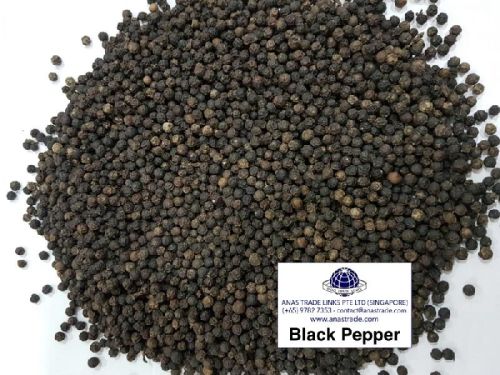 Black Pepper Seeds