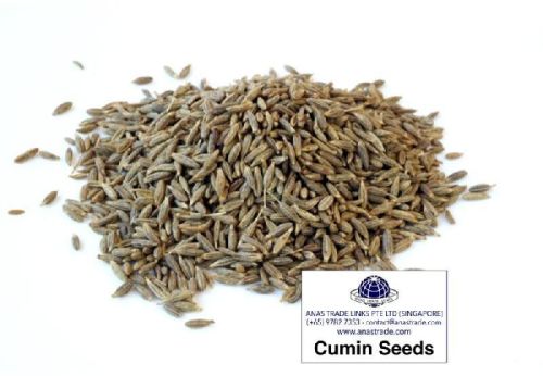 Cumin seeds, Application : Cooking