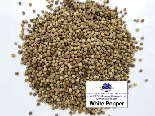 White Pepper Seeds, Packaging Type : Plastic Bag