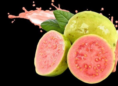 Fresh Guava, Shelf Life : 3-5 Days