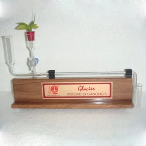 Ganong Potometer, For Laboratory, Overall Length : 320 Mm