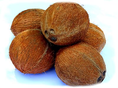 Semi Husked Coconuts