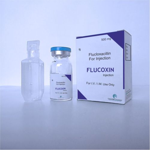 Flucloxacillin Injection