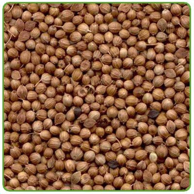 Split Grain Coriander Seeds, Moisture : 14%max, Purity : 98%max