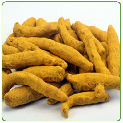 Turmeric Finger (Salem / Erode), Color : Yellow