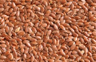 Organic flax seeds