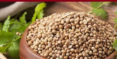 Coriander Seeds, Grade Standard : Food Grade