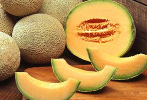 Natural Organic Fresh Muskmelon, For Cooking, Packaging Type : Jute Bag