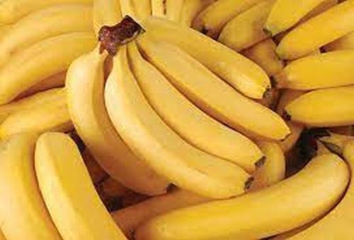 Organic Fresh Banana, Packaging Size : 20 Kg