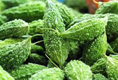 Dark Brown Organic Fresh Bitter Gourd, For Human Consumption, Grade Standard : Food Grade