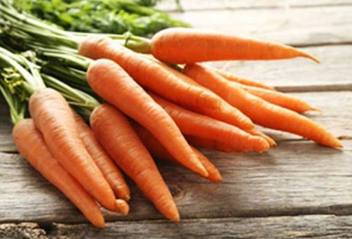 Red Organic Fresh Carrot, For Food, Juice, Pickle, Snacks