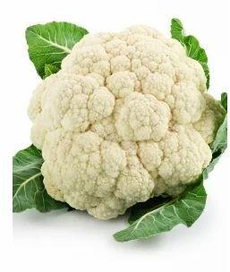 White Organic Fresh Cauliflower, For Cooking, Packaging Type : Net Bag