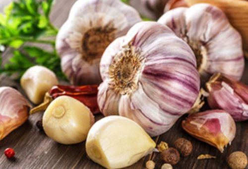 Organic Fresh Garlic, For Snacks, Fast Food, Cooking, Style : Solid