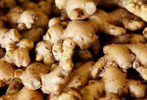 Light Brown Organic Fresh Ginger, For Cooking, Cosmetic Products, Medicine, Packaging Type : Jute Bags