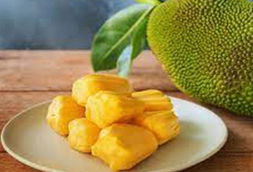 Oval Organic Fresh Jackfruit, For Human Consumption, Cooking, Home, Hotels, Packaging Size : 25kg