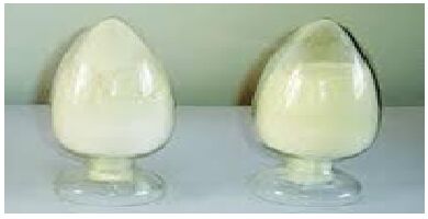 Papain Refined Powder, Form : Liquid Form