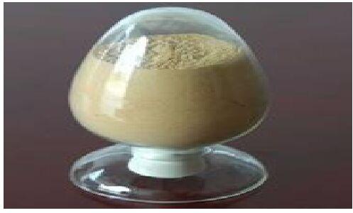 Papain Crude Powder