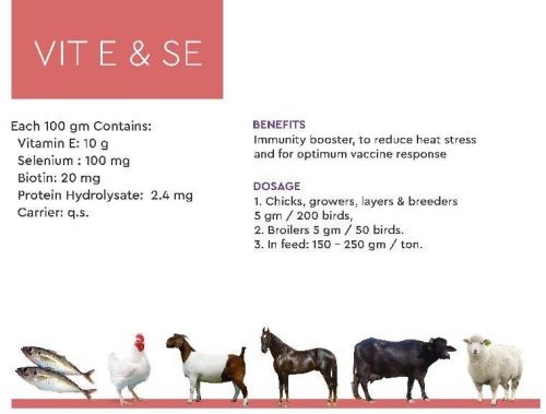 Vit E -SE Poultry Feeds Supplements, Form : Powder