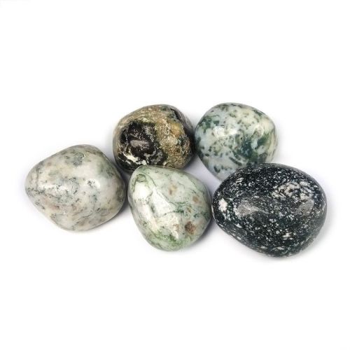 Tree Agate Tumble Stone, Used For:Vastu, Crystal Healing, Meditation