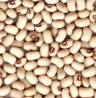 Black-eyed Beans